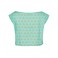 06.1 crop top flamingozzz